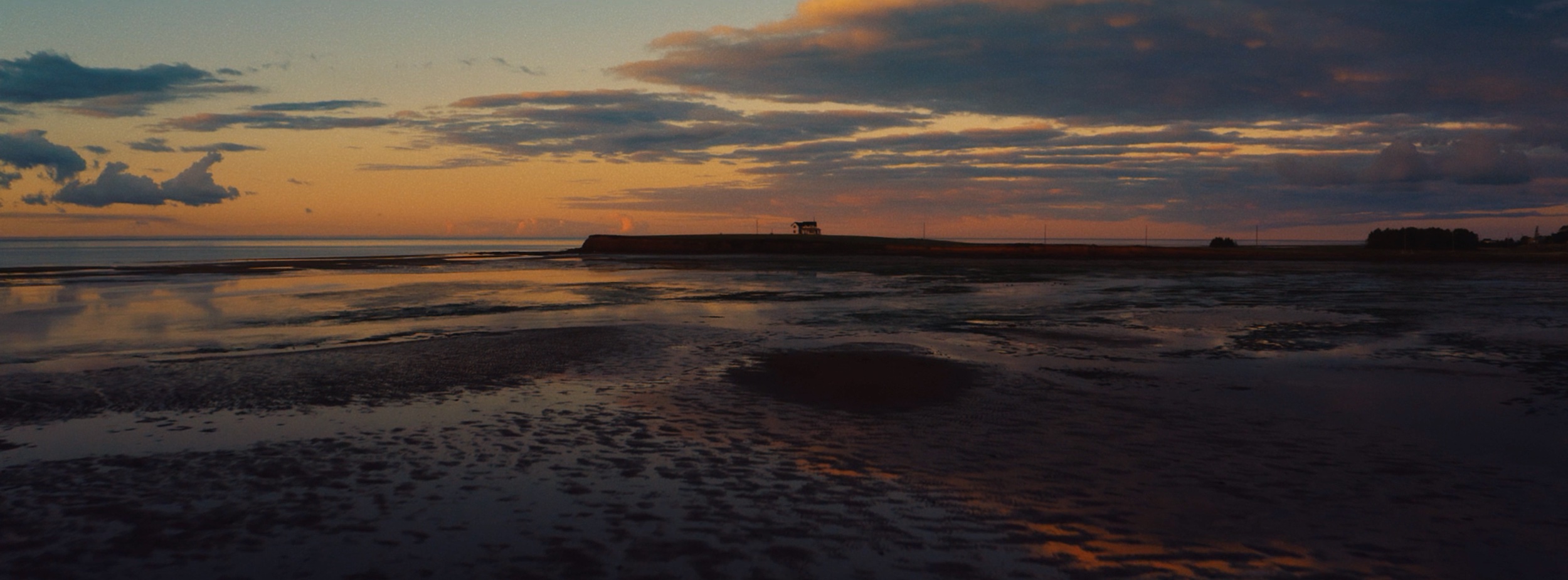 Screen Shot 2020-12-13 at 12.14.12 PM.png